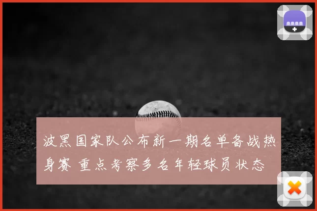 波黑国家队公布新一期名单备战热身赛 重点考察多名年轻球员状态