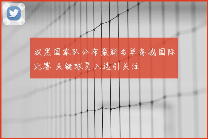 波黑国家队公布最新名单备战国际比赛 关键球员入选引关注