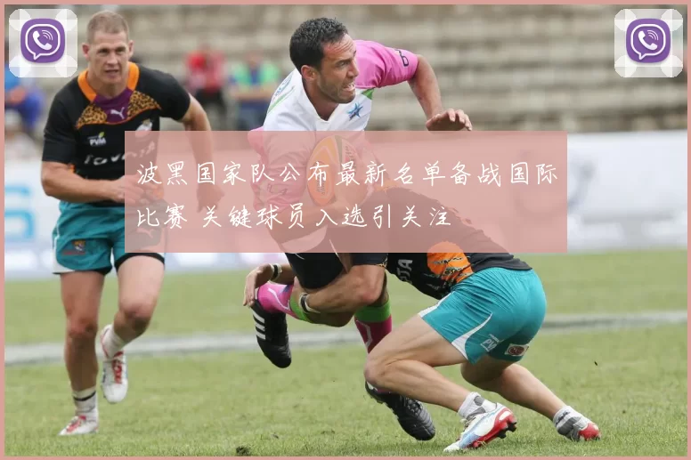 波黑国家队公布最新名单备战国际比赛 关键球员入选引关注