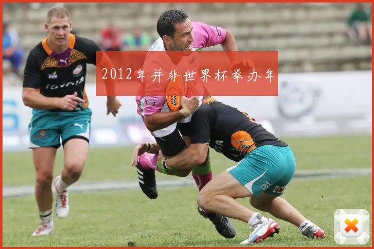 2012年并非世界杯举办年