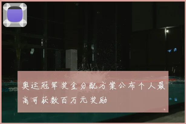 奥运冠军奖金分配方案公布个人最高可获数百万元奖励